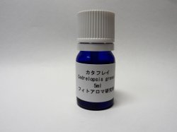 画像1: カタフレイ5ml・精油