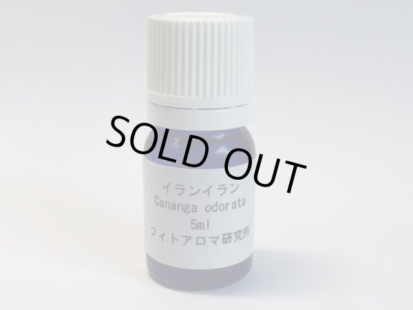 画像1: イランイラン5ml・精油