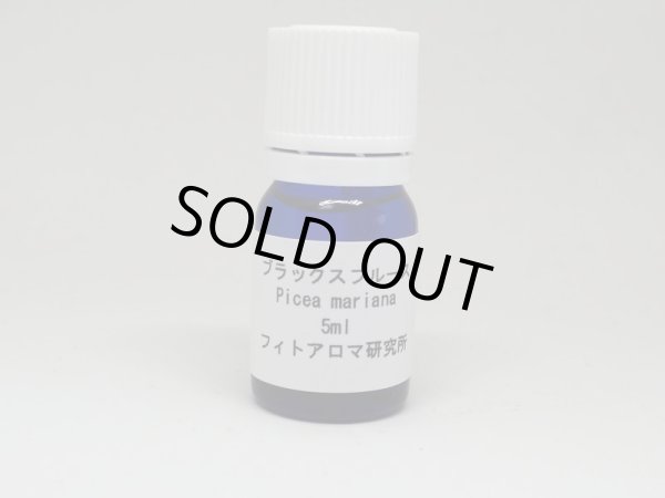 画像2: ブラックスプルース5ml・精油