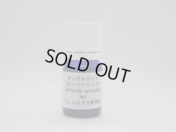画像1: サンダルウッド（オーストラリア）5ml・精油