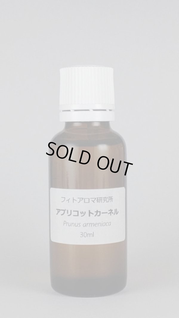 画像1: アプリコットカーネルオイル（ネパール）30ml