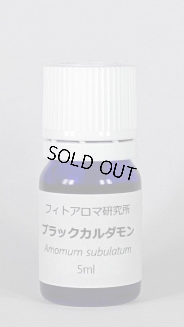 画像1: ブラックカルダモン（ネパール）5ml・精油